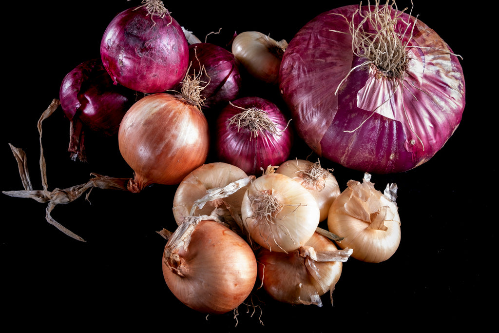 Cipolla Borettana in Olio 1000g