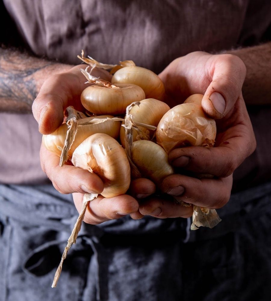 Cipolla Borettana in Agrodolce 330g